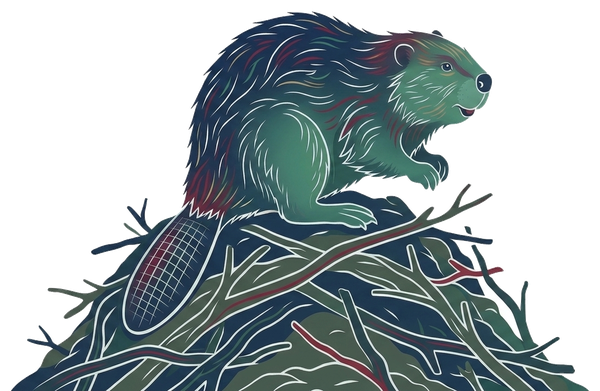Two Beavers
