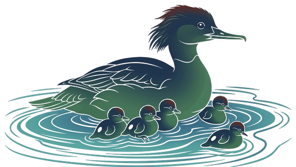 Female merganser with chicks