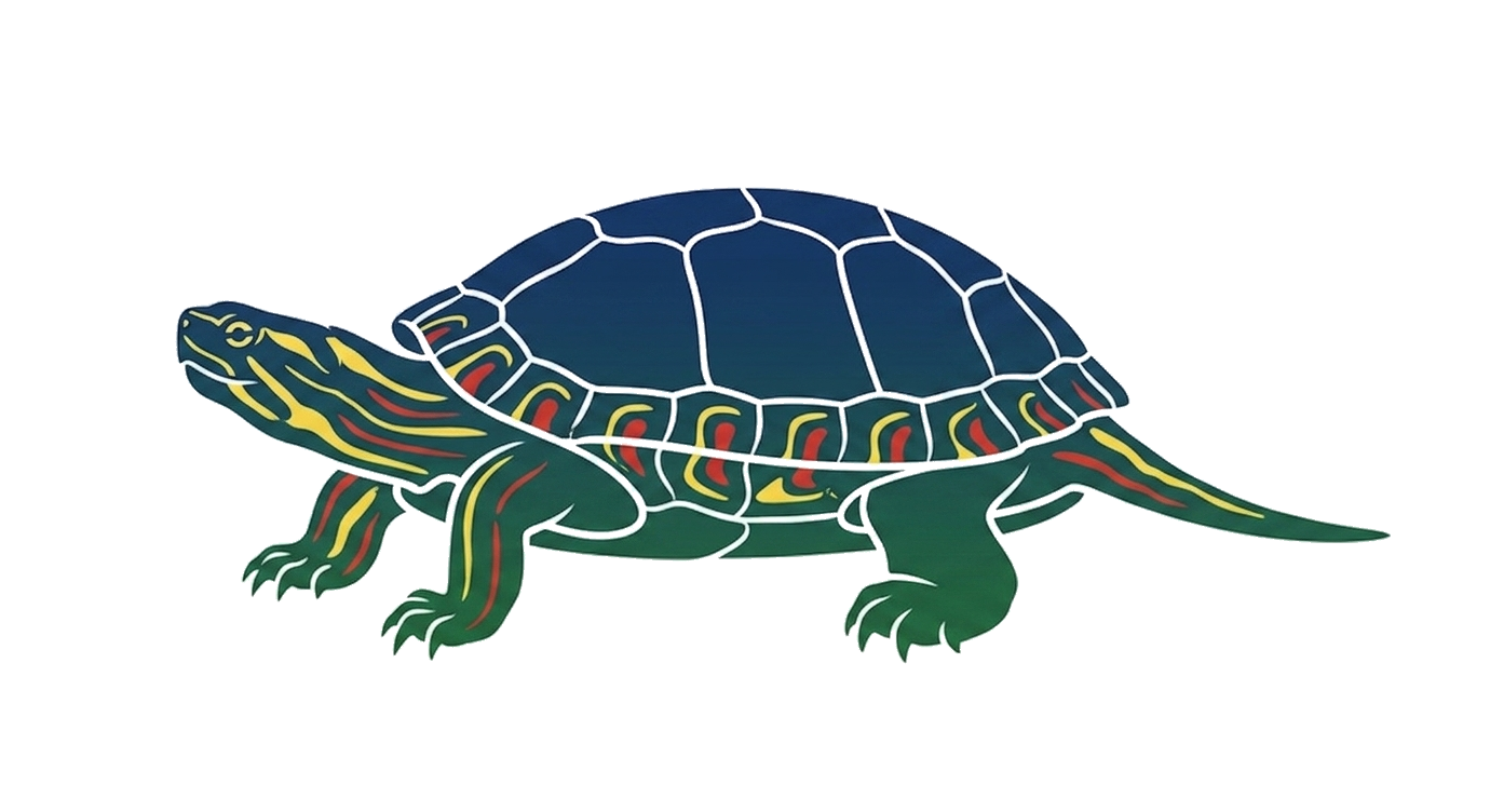 Painted Turtle