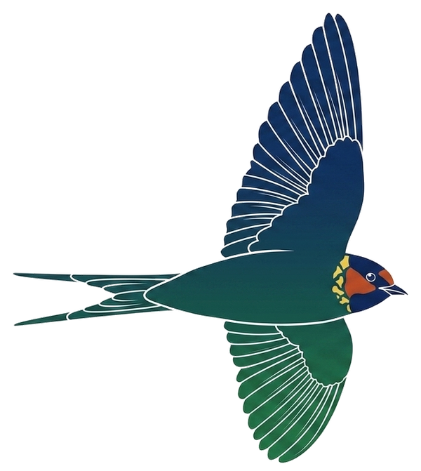 Cliff Swallows