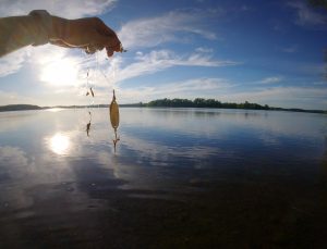Guelph Lake