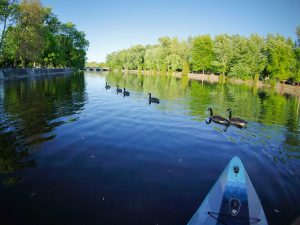 Speed River