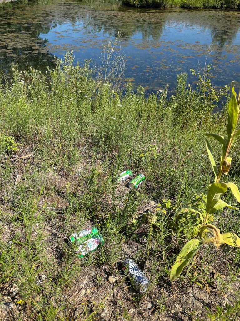Before the shore was littered with beer cans