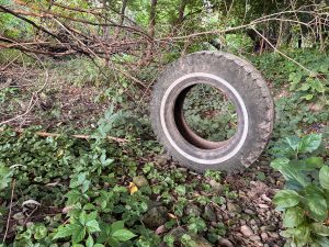 Tire removed from Speed River Floodplains