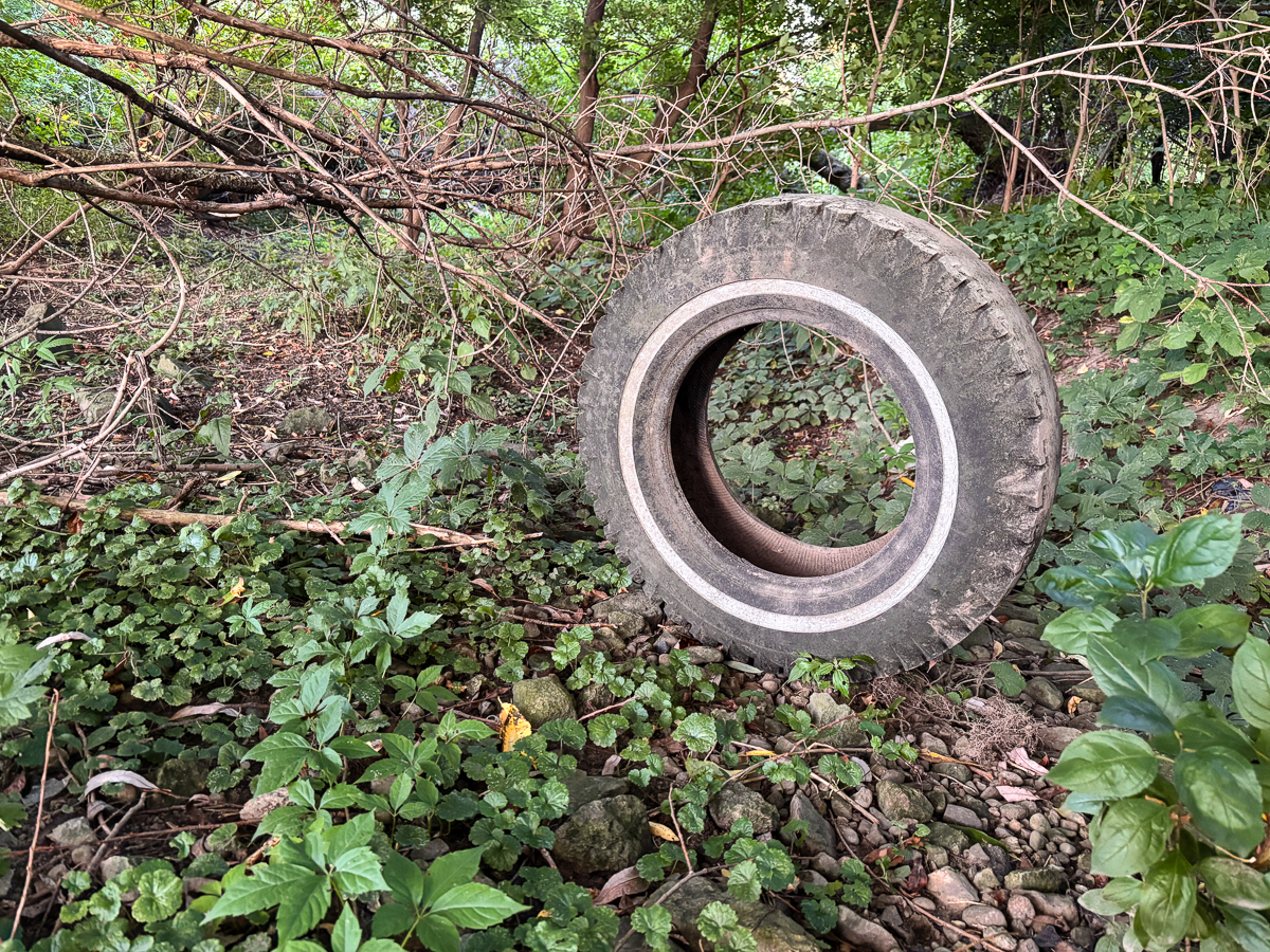 Tire removed from Speed River Floodplains